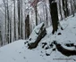 Pasul Vulcan Cascada Lupilor Foto Daniel Guță ADEVĂRUL (9) jpg