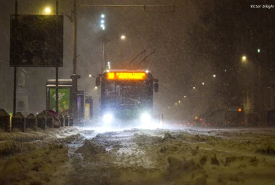 cod rosu bucuresti jpg