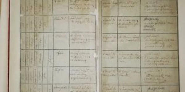Document Mihai Eminescu Colecţie Arhivele Naţionale 