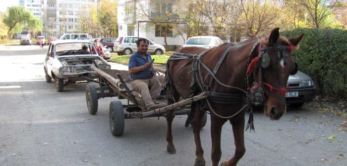 Calul a avut misiune grea: să tracteze rabla până la centrul de colectare a fierului vechi