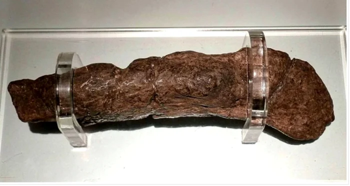 caca viking jpg