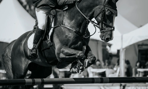 1 shutterstock 689099398 jpg jpeg