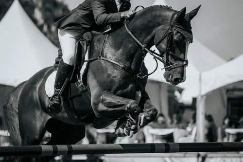 1 shutterstock 689099398 jpg jpeg