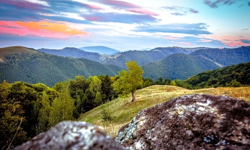 marginimea sibiului in topul destinatiilor pentru detoxifiere digitala 6 jpeg