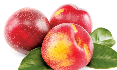 1 63736 original jpg jpeg