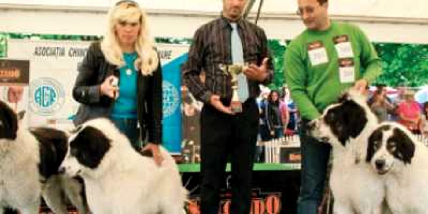 Festivaluri şi expoziţie canină în weekend