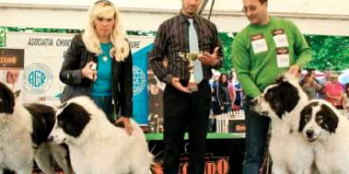 Festivaluri şi expoziţie canină în weekend