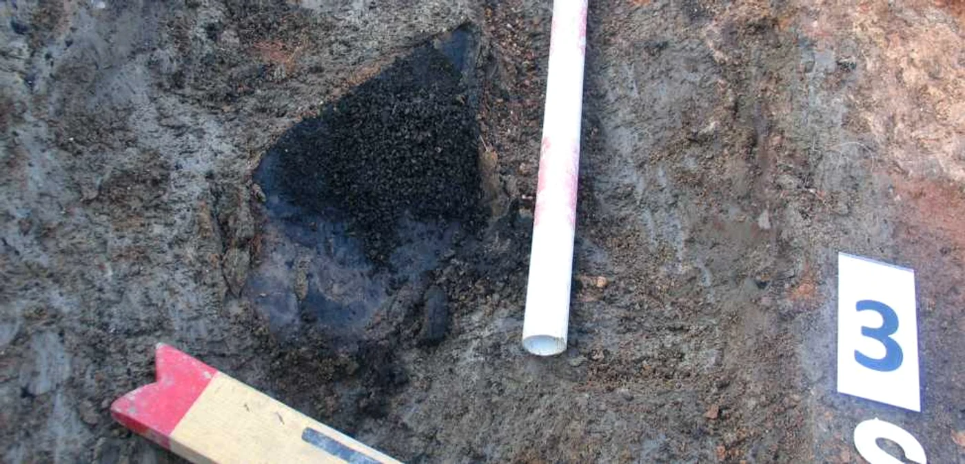  Descoperirea de la Leşmir urmează să fie publicată într-o monografie arheologică. Foto: Ioan Bejinariu