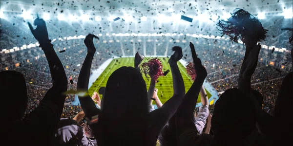Suporteri fotbal FOTO Shutterstock jpg