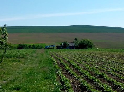 Arţari - satul „fantomă” din judeţul Suceava. FOTO Dănuţ Zuzeac