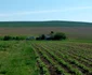 Arţari - satul „fantomă” din judeţul Suceava. FOTO Dănuţ Zuzeac