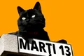 pisica neagra marti 13 jpeg