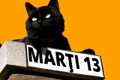 pisica neagra marti 13 jpeg