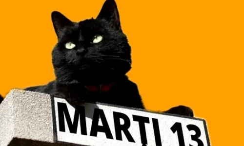 pisica neagra marti 13 jpeg