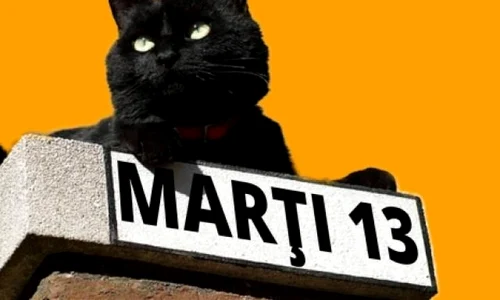 pisica neagra marti 13 jpeg