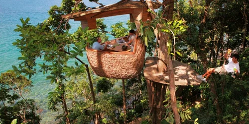 Treepod