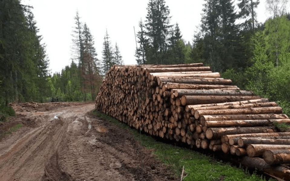 Activiştii Agent Green reclamă vicierea SUMAL 2.0 şi propun actualizarea sistemului