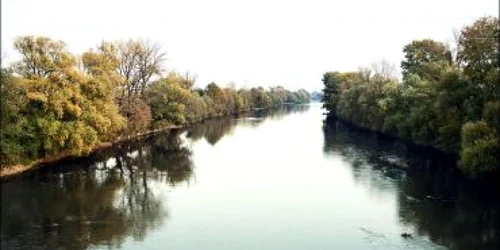Satu Mare: Minorul înecat la Bercu a fost găsit