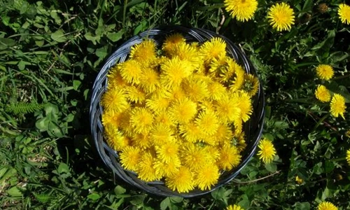 1 74236 original jpg jpeg