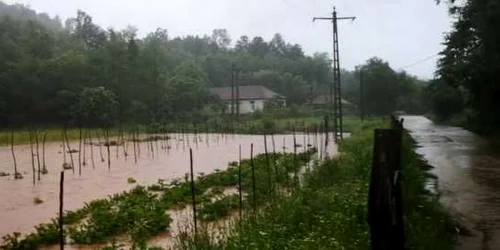inundatii ohaba ponor