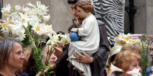 Sărbătoarea crinului la Constanţa - 13 iunie - Ziua Sfântului Anton de Padova considerat sfântul minunilor Foto sfantul-anton.ro
