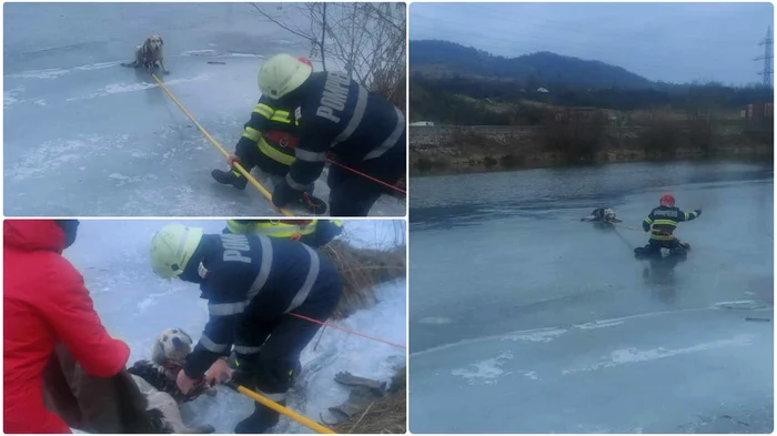 Câine salvat din apele râului Jiu. Foto: ISU Hunedoara.