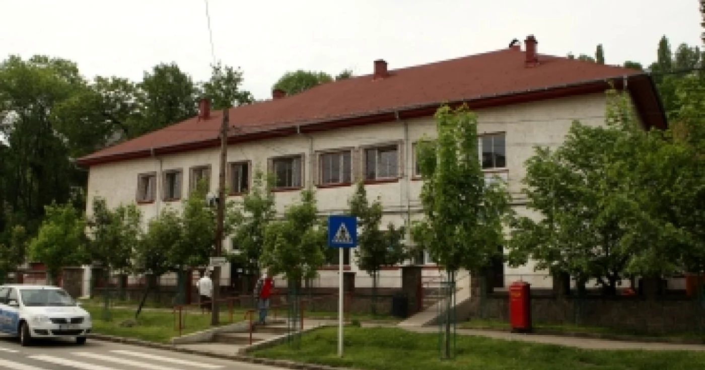 Braşov: Încă un caz de gripă porcină la Braşov