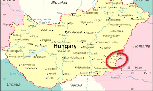 Iată zona în  care a fost văzut cangurul jpeg