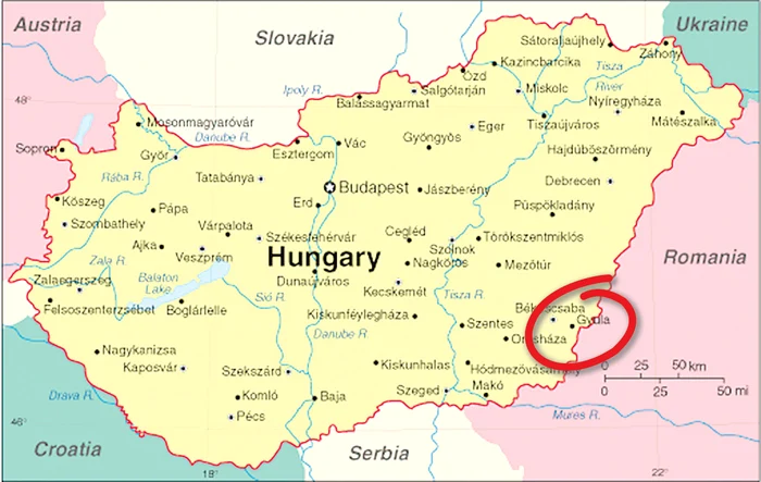 Iată zona în care a fost văzut cangurul