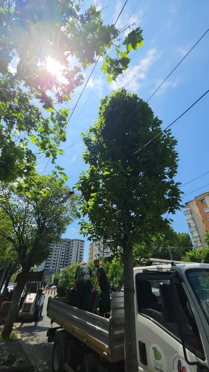 FOTO: Primăria Sectorului 4