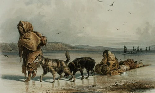 Primii oameni care au ajuns în America erau însoțiți de câini  jpeg