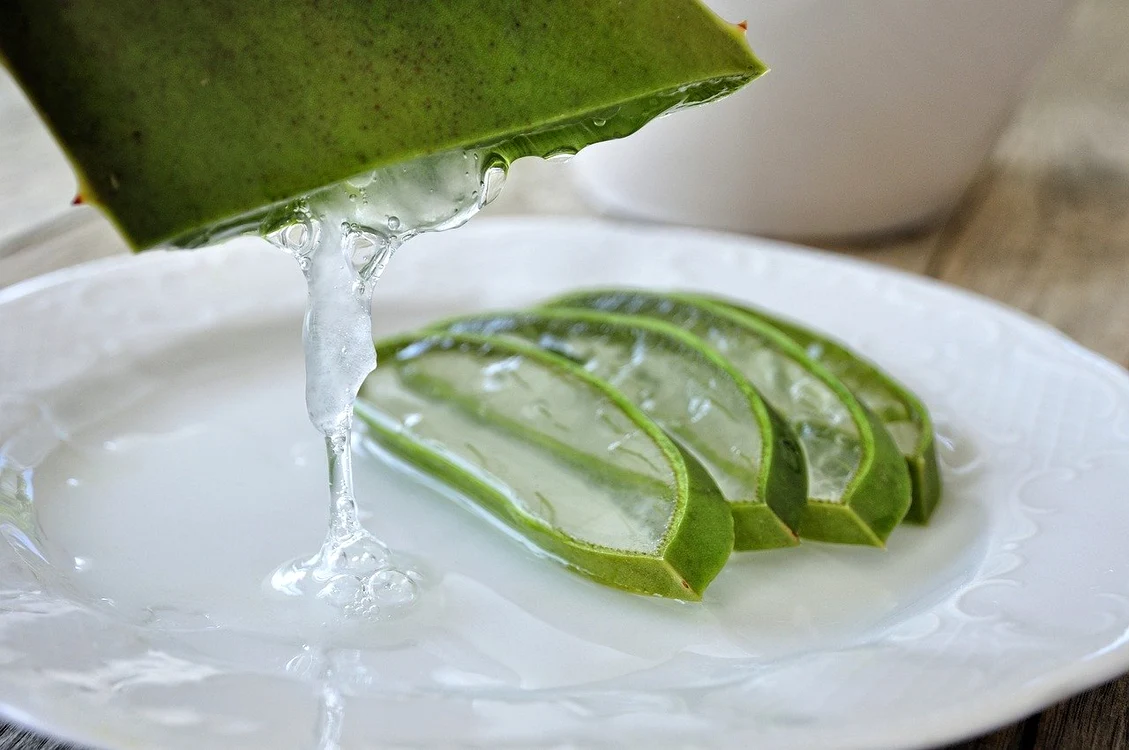 aloe 4529704 1280 jpg jpeg