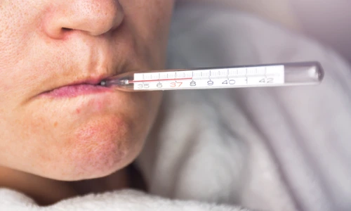 1 shutterstock 787075573 jpg jpeg