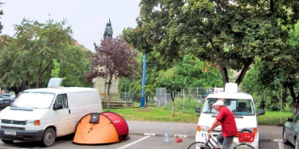 Judeţ cu judeţ:Apicultorii din judeţul Sibiu au obţinut o producţie medie de miere de 15-20 de kilograme pe familie de albine