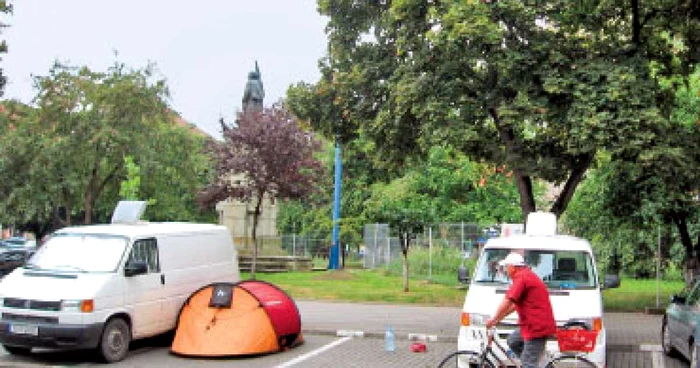 Judeţ cu judeţ:Apicultorii din judeţul Sibiu au obţinut o producţie medie de miere de 15-20 de kilograme pe familie de albine
