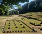 Saemizegetusa Regia  Foto Daniel Guță, ADEVĂRUL (8) jpg