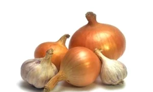 2 jpg jpeg