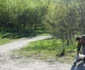 slatina running - claudia balas
