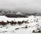 Zăpadă pe Munţii Măcinului la Greci - Dobrogea Sursa Ştefan Cioran