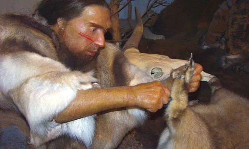 Oamenii preistorici au ajuns în America în urmă cu 130 000 de ani?  jpeg