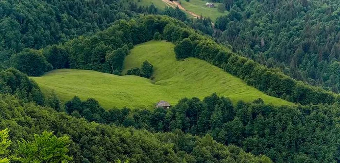 Poiana Inimii, din Maramureş  FOTO Costel Ciobanu