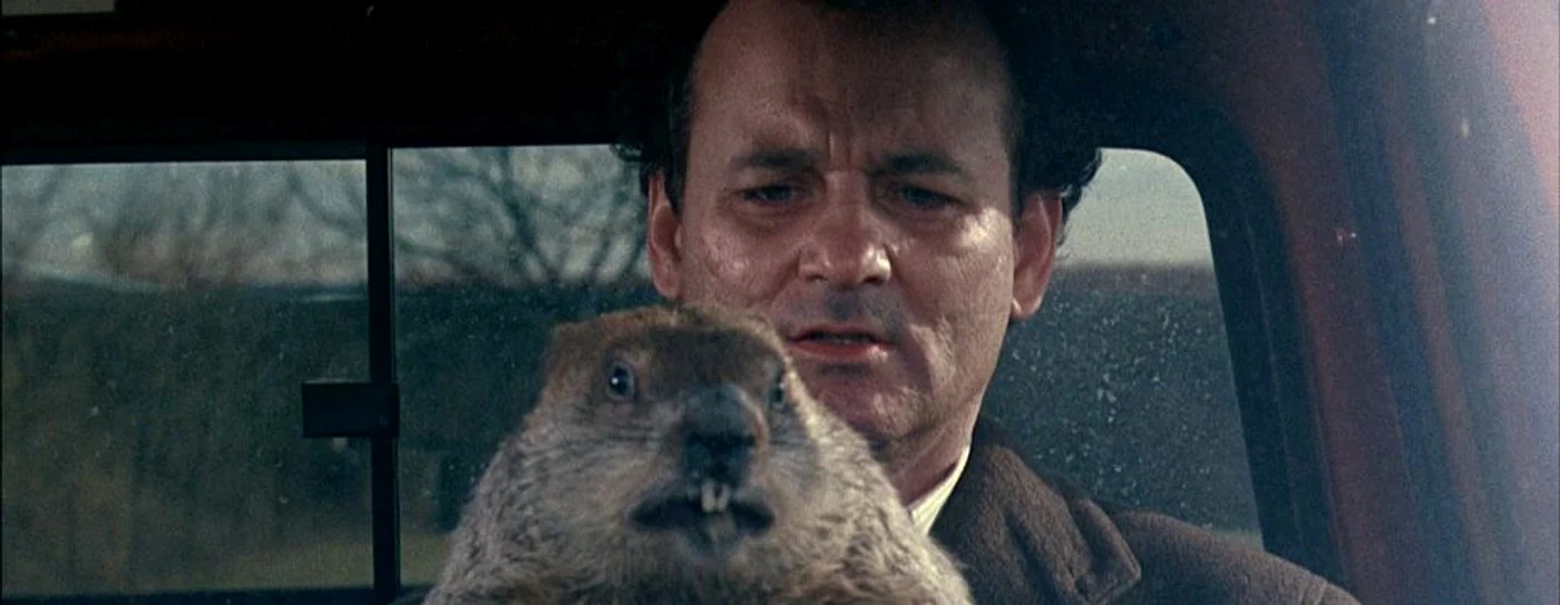 ziua cartitei bill murray