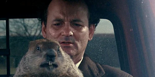 ziua cartitei bill murray