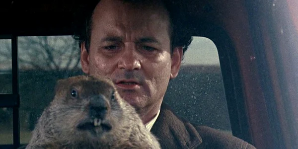 ziua cartitei bill murray