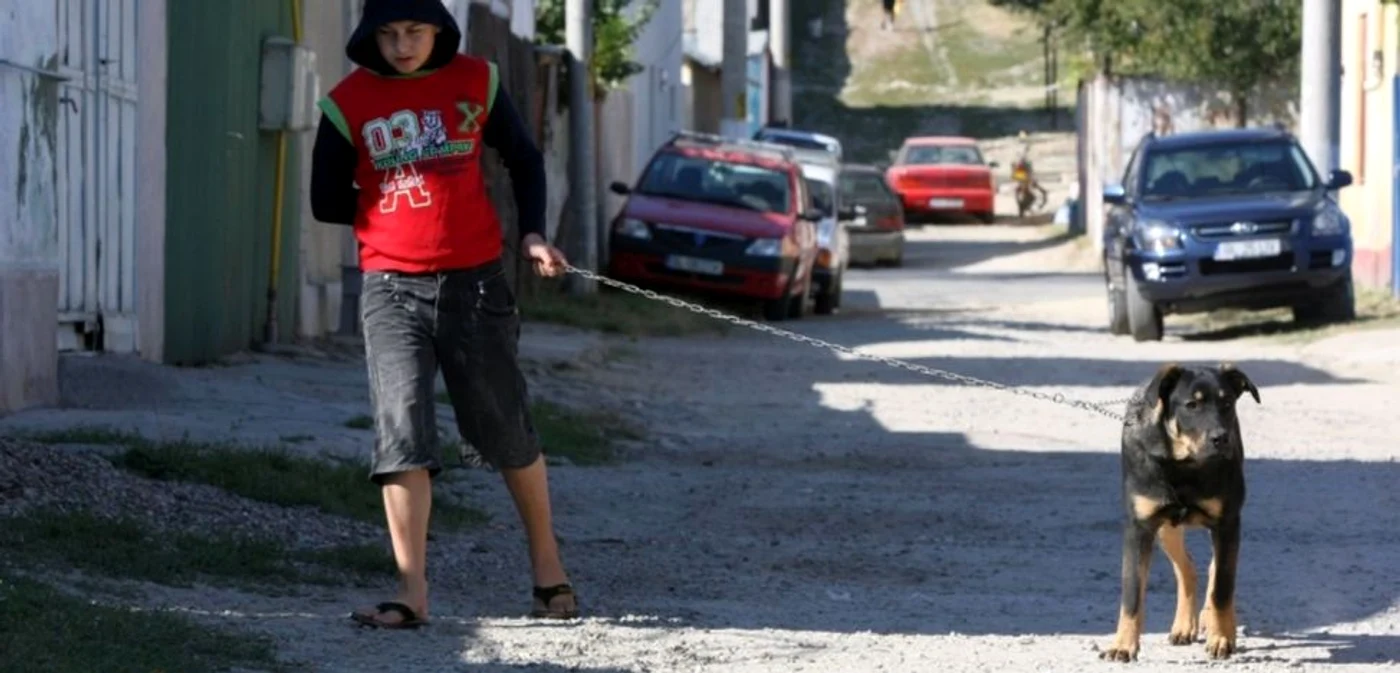 Această stradă (Vadul Cărăbuş) ar fi trebuit să fie gata, dar nu s-a făcut nimic aici FOTO C Crângan