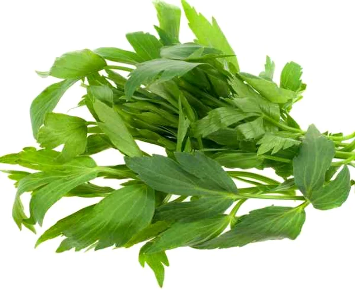 
    Leuşteanul vindecă suferinţele secrete ale sufletului. (Foto arhivă)  