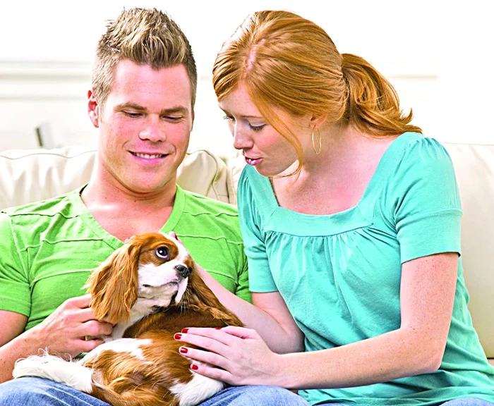 
    Bucureştenii din  sectorul 1sunt amendaţi şi dacă nu curăţă după animalele de companie  