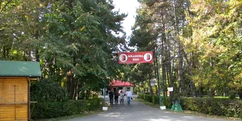 zoo bucov
