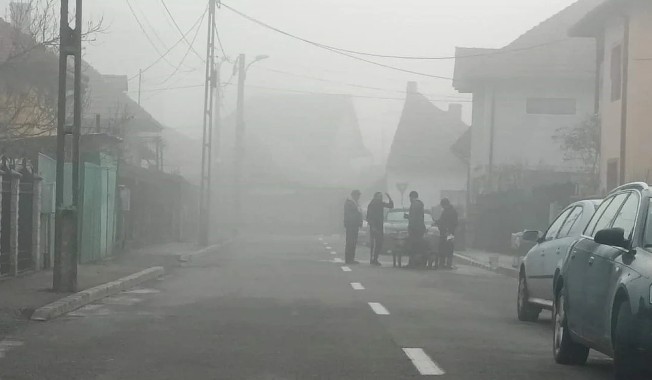 Porcul a fost sacrificat în mijlocul străzii                                     Foto: facebook.com/enoiu.gigi