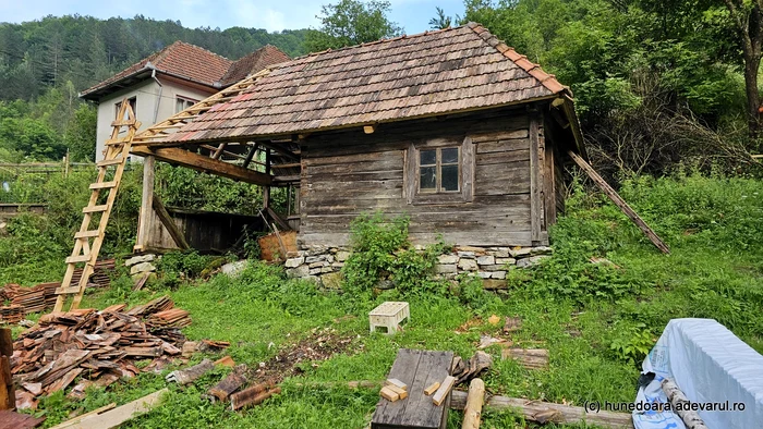 Satul Runcu Mare (foto: Daniel Guță / Adevărul)